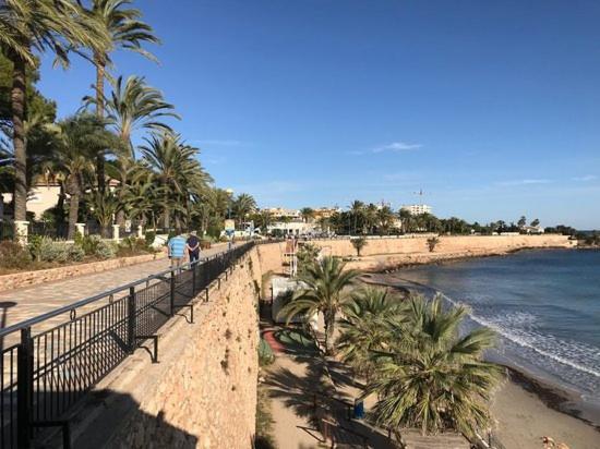 Apartament Cc8 By Zanis Torrevieja Zewnętrze zdjęcie